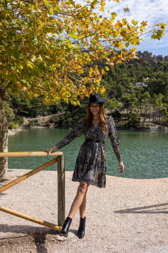 Open Fashion φόρεμα animal print